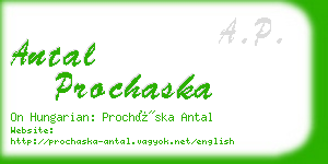 antal prochaska business card